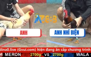 Trận 21 CPC5 Ngày 16/08/2025