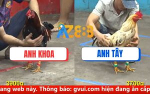 Trận 28 CPC5 Ngày 15/08/2025
