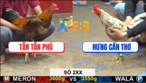 Trận 38 CPC5 25/9/2025 - Anh Hưng Cần Thơ Và Anh Tân Giao Lưu 2 Xị
