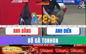 Trận 17 Bồ Tonhon 12/09/2025