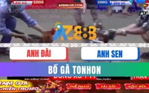 Trận 36 Bồ Tonhon 12/09/2025