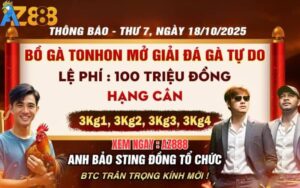 Bồ Gà TonHon Cùng Bảo Sting Tổ Chức Giải Gà Tự Do Ngày 18/10/2025