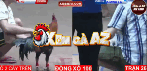 Trận 26 Bồ Hà Tiên 30/10/2025 - Má Minh Chấp Nu Đồng Tháp 3 Chấm Và Cái Kết