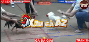 Trận 30 Bồ Hà Tiên 30/10/2025 - Nu Đồng Tháp Thả Giùm Anh Thừa Đụng Doul CPC