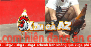 Trận 18 CPC5 31/10/2025 - Quang Vũng Tàu Hạ Đối Thủ Nhanh Chóng