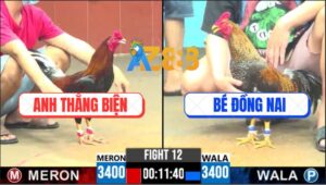 Trận 12 CPC6 14/10/2025 - Cú Kêu Điều Trả Lời, Cú Bỏ Chạy Thục Mạng