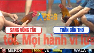 Trận 16 CPC5 23/10/2025 - Điều Chân Xanh Xin Nhẹ Cặp Giò Gà Anh Sang