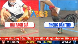 Trận 2 CPC5 15/10/2025 - Gà Que Anh Phong Nuốt Ói Lật Kèo Đẳng Cấp