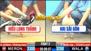 Trận 2 CPC6 30/10/2025 - Điều Bông Bú 1 Chân Bướm Chạy Bay Bồ