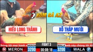 Trận 3 CPC6 28/10/2025 - Vàng Chân Trắng Đâm Khét Cây Cần Té Hết Cứu