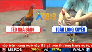 Trận 30 CPC5 12/10/2025 - Điều Lá Đá Đúng 2 Cước Úa Gãy Cổ Đập Cánh