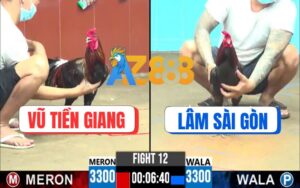 Trận 12 CPC6 06/10/2025