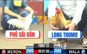 Trận 13 CPC6 06/10/2025