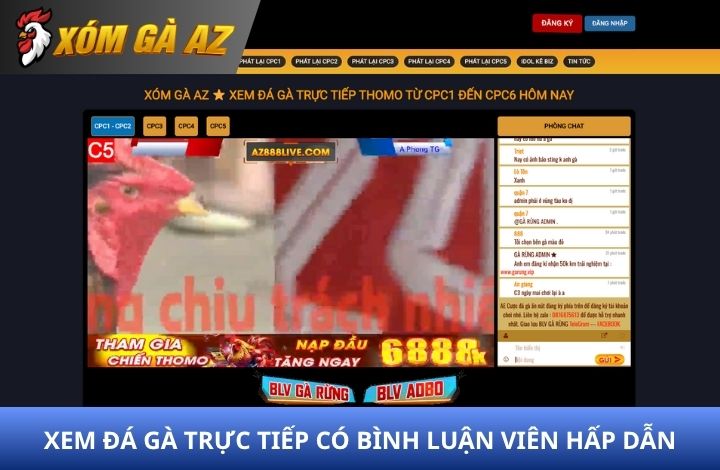 Xem đá gà trực tiếp có bình luận viên cùng Xóm Gà AZ