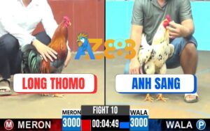 Trận 10 CPC6 06/10/2025