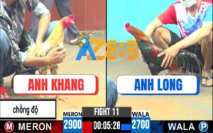 Trận 11 CPC6 05/10/2025