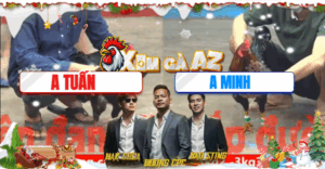 Trận 18 CPC5 26/11/2025 - Tuấn Cao Lãnh Khiến Đối Thủ Bỏ Chạy Quanh Bồ