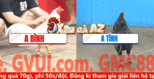 Trận 22 CPC5 10/11/2025 - Gà Anh Bình Nặng Hơn 5 Chấm Đá Xuống Ăn 1 Bị Phản