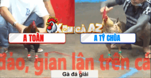 Trận 18 CPC5 6/11/2025 - Tý Chùa Thả Hòa Độ Gà Cực Căng Tới Phút 90