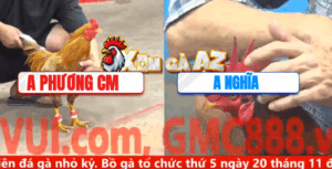 Trận 25 CPC5 10/11/2025 - Phương Cà Mau Gặp Đối Thủ Dưới Màu Và Cái Kết