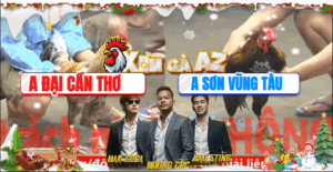 Trận 22 CPC5 19/11/2025 - Gà Que Anh Sơn Khiến Cú Cọp Không Kịp Trở Tay