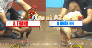 Trận 9 CPC4 11/11/2025 - Bướm Hiệu Anh Nhân Gồng Cựa Quá Hay Tới Phút 90