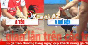 Trận 6 CPC5 6/11/2025 - Nhí Biện Ra Sân Trận Đầu Tiên Gặp Thách Thức