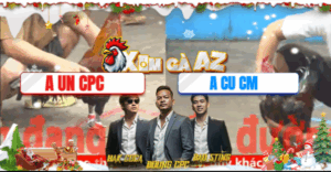 Trận 8 CPC5 29/11/2025 - Un Campuchia Cũng Chỉ Là Cái Tên Khi Gặp Cọp Việt Nam