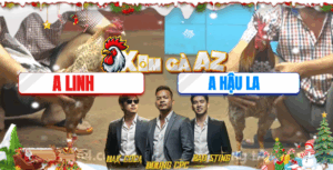 Trận 36 CPC4 22/11/2025 - Linh Ngã Bảy Khiến Đối Thủ Phải Tắt Điện Với Mình