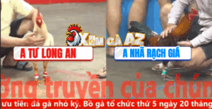 Trận 27 CPC5 8/11/2025 - Tư Long An Gồng Cựa Tới Phút 90 Ăn Đẳng Cấp