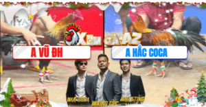 Trận 12 CPC3 30/11/2025 - Hắc Coca Tung Hàng Xịn Ra Hạ Vũ Đức Hòa