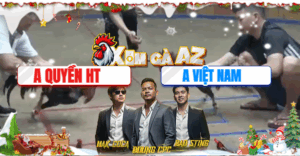 Trận 10 Bồ Hà Tiên 23/11/2025 - Anh Quyền Hà Tiên Đích Thân Ra Tay Và Cái Kết