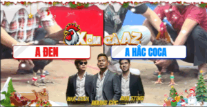 Trận 17 CPC3 30/11/2025 - Hắc Coca Gặp Tính Gà King Thì Chỉ Có Tắt Điện