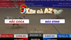 Tran 13 Ton Hon 2112025