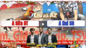 Trận 14 CPC5 21/11/2025