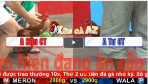 Trận 16 CPC5 1/11/2025