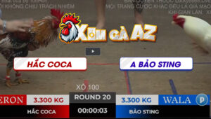 Tran 20 Ton Hon 2112025