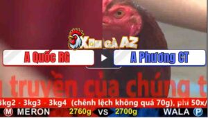 Trận 24 CPC5 5/11/2025