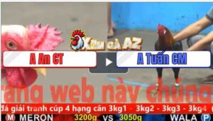 Trận 25 CPC5 4/11/2025