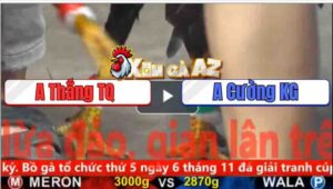 Trận 28 CPC5 4/11/2025