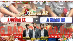 Trận 4 CPC5 21/11/2025