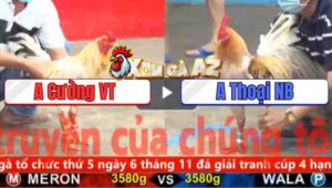 Trận 5 CPC5 4/11/2025