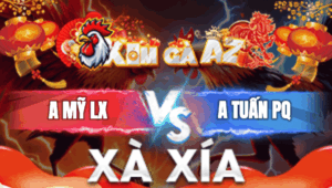 Trận 19 Bồ Xà Xía 30/12/2025 - Anh Mỹ Gặp Anh Tuấn Phú Quốc