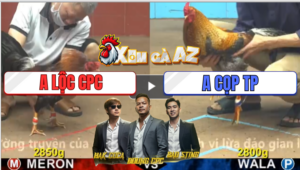 Trận 8 CPC4 25/12/2025