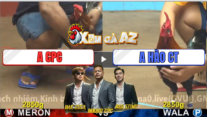 Trận 10 CPC4 25/12/2025