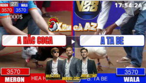 Trận 27 Dinh Bà 25/12/2025