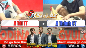 Trận 25 CPC5 29/12/2025