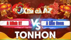 Trận 11 Tonhon 31/12/2025