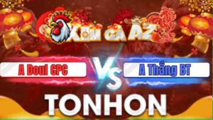 Trận 13 Tonhon 31/12/2025