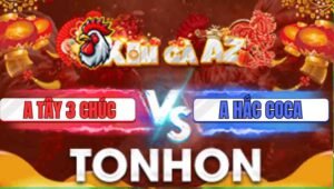 Trận 38 Tonhon 31/12/2205
